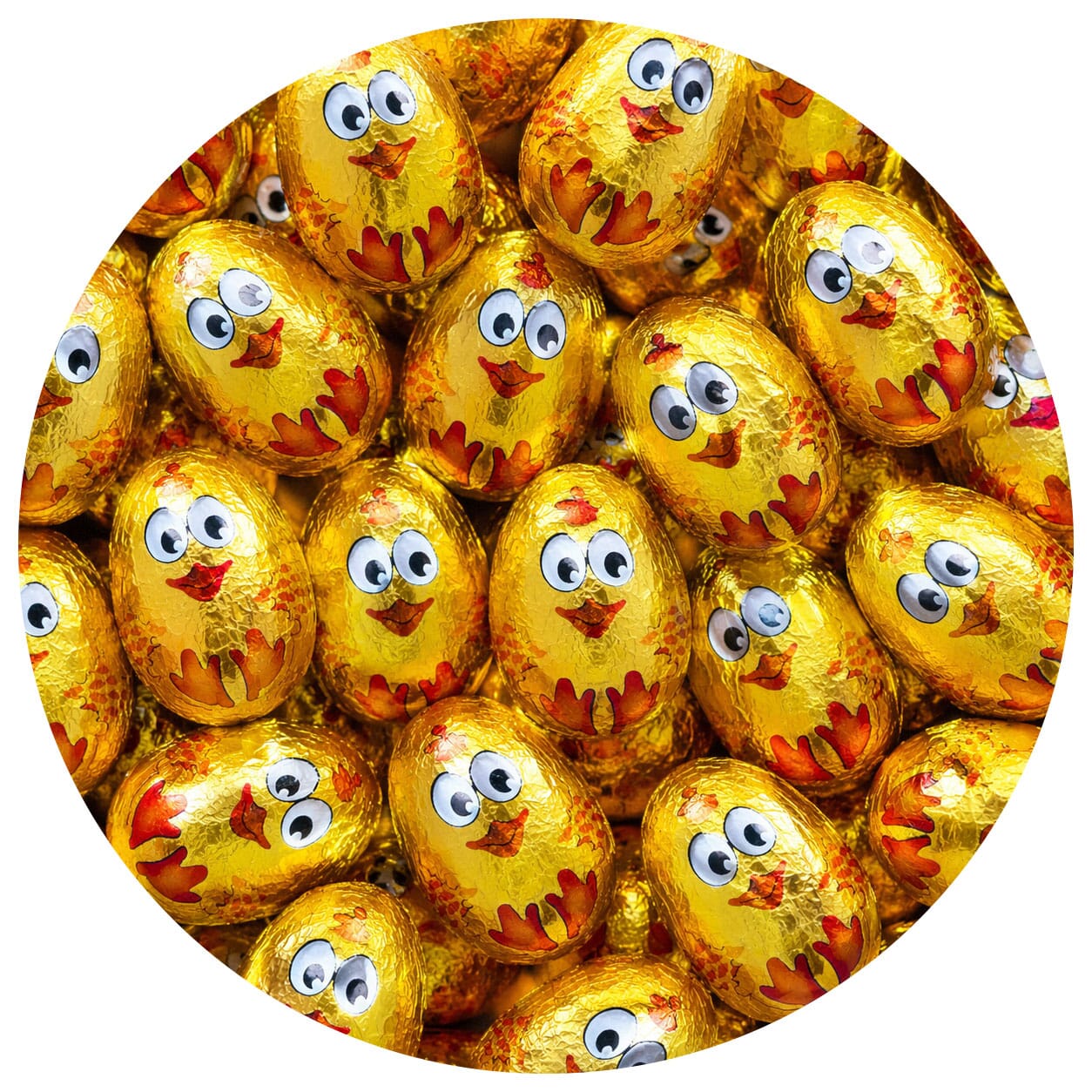 Gouden chocolade kuikens